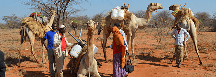 20201017 Pino SS Annunziata isiolo county